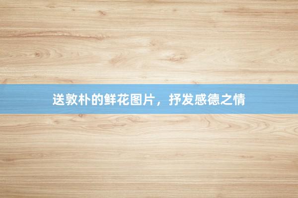 送敦朴的鲜花图片，抒发感德之情