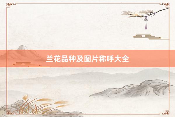 兰花品种及图片称呼大全
