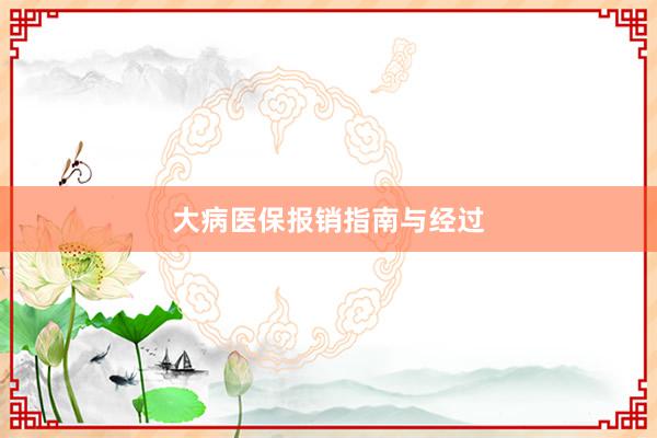 大病医保报销指南与经过
