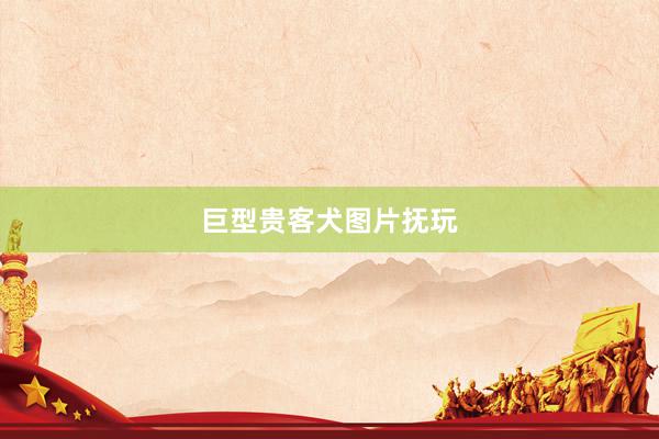 巨型贵客犬图片抚玩
